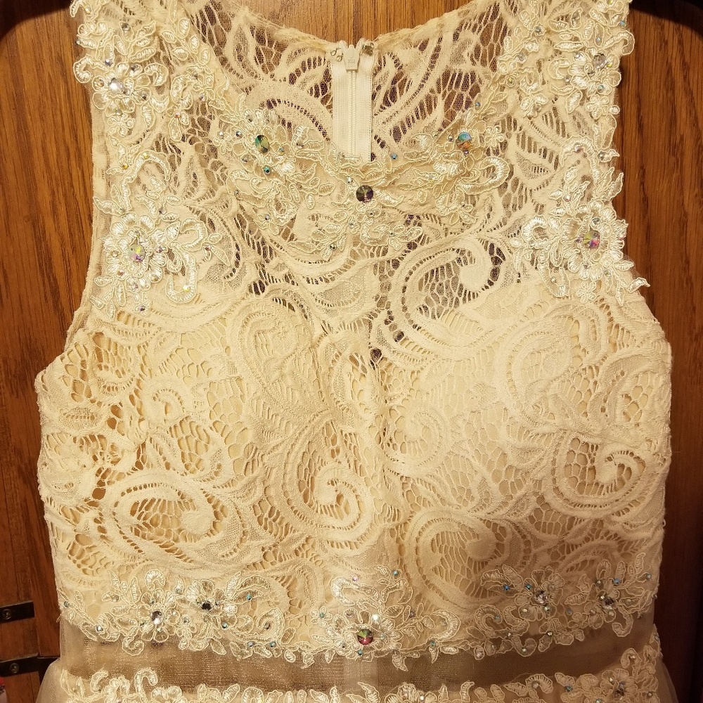 Junior's Coya Prom/Spring Formal Dress